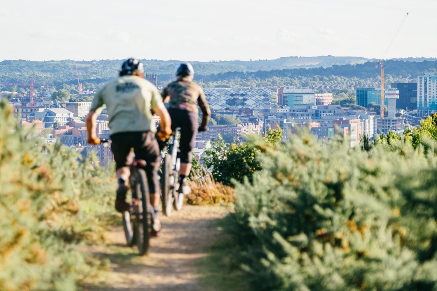 Two people are mountain biking along a dirt track that is flanked with heather on both sides. In the distance the Sheffield skyline is visible.