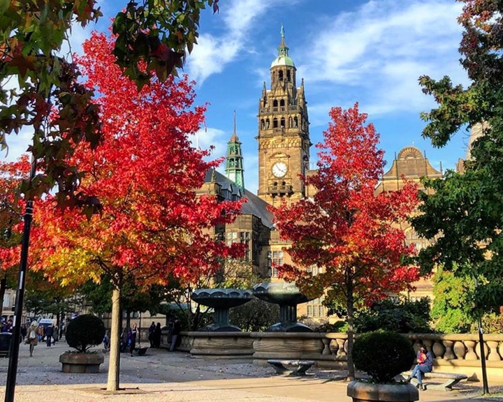 Sheffield Peace Gardens in the Autumn, the leaves on the trees are turning red and yellow.