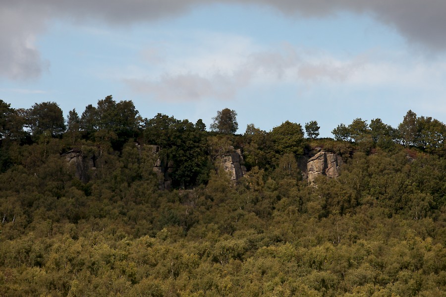Rivelin Edge - A scenic view of a forested area with a rocky cliff in the background. The cliff is topped with trees and bushes, while the foreground is densely covered with green foliage. The sky above is partly cloudy, adding depth to the landscape.