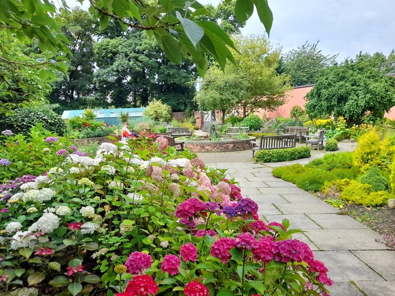 The Hillsborough Park Walled Garden in full bloom.
