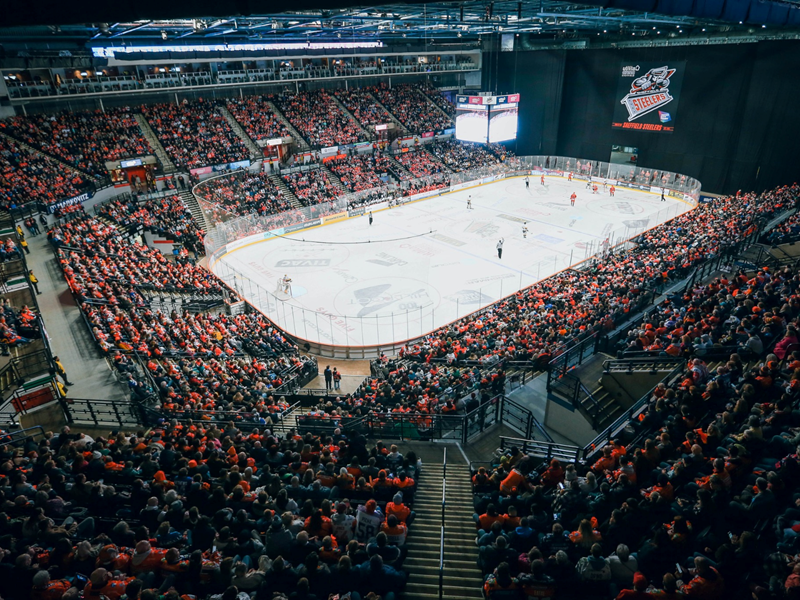 An ice hockey game in full swing at ta Arena Sheffield.