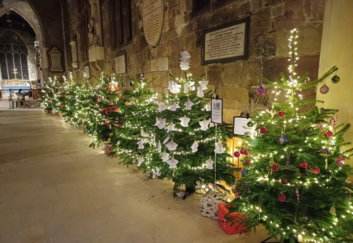 A long row of decorated Christmas Trees in Sheffield Cathedral.