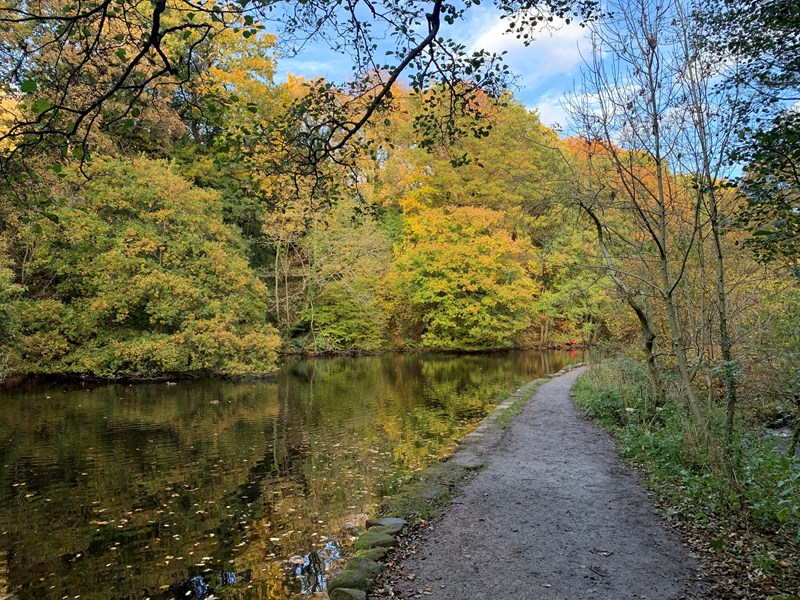 A path through woods that runs alongside a river on the Rivelin Valley Trail.