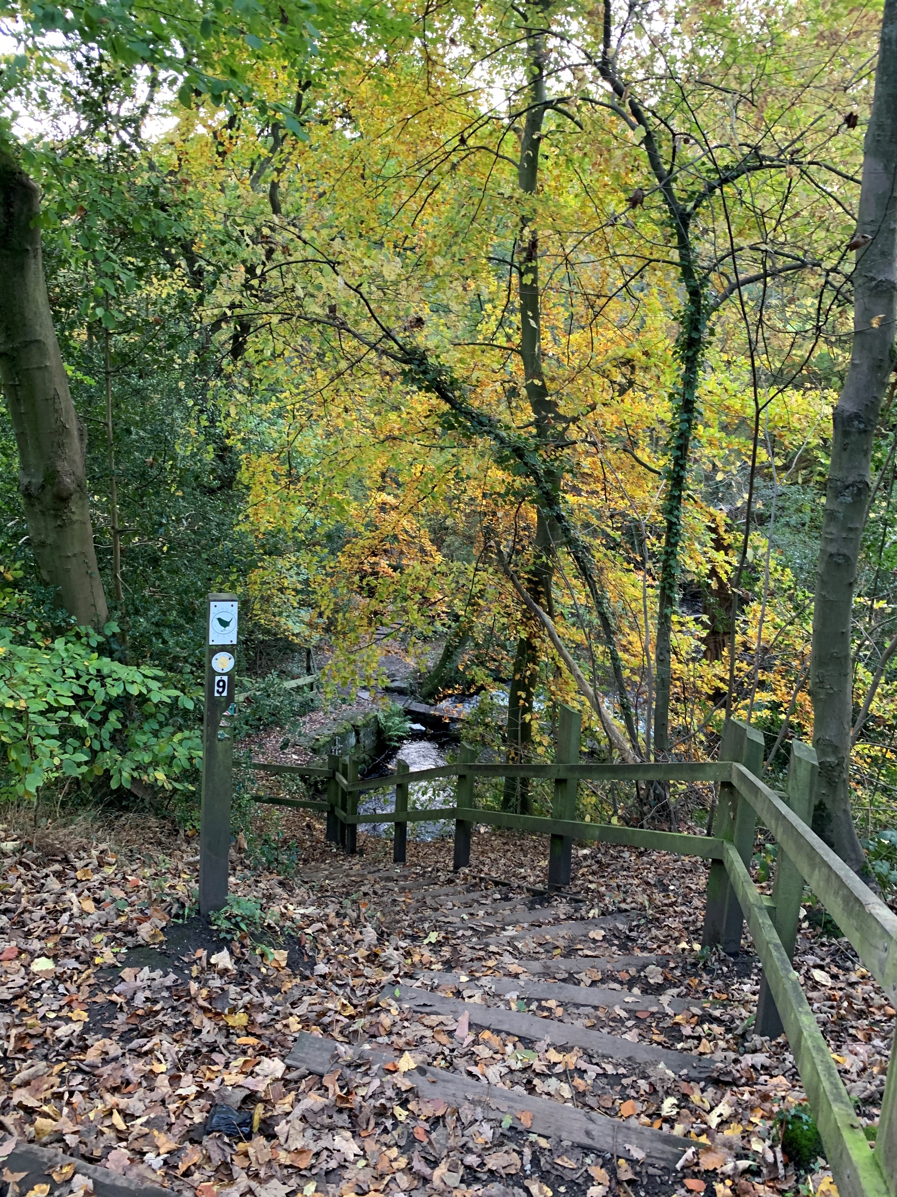 Wooden steps going down a steep bank on the Rivelin Valley Trail.