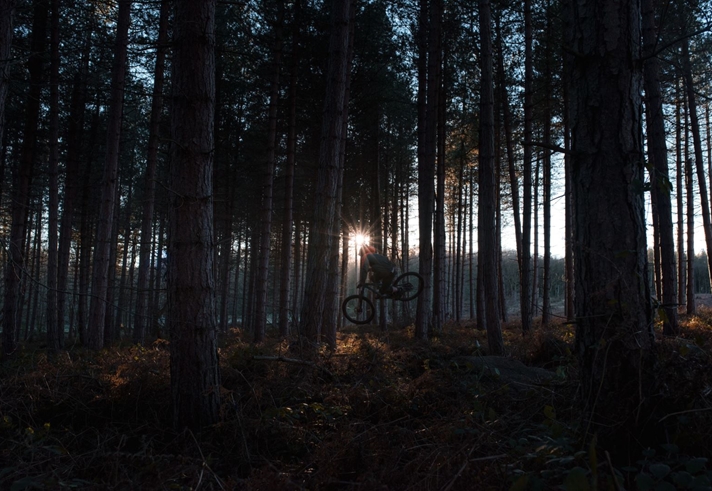 Shadow of someone mountain biking between the trees in Greno Woods.