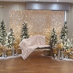 A display of Christmas Trees.