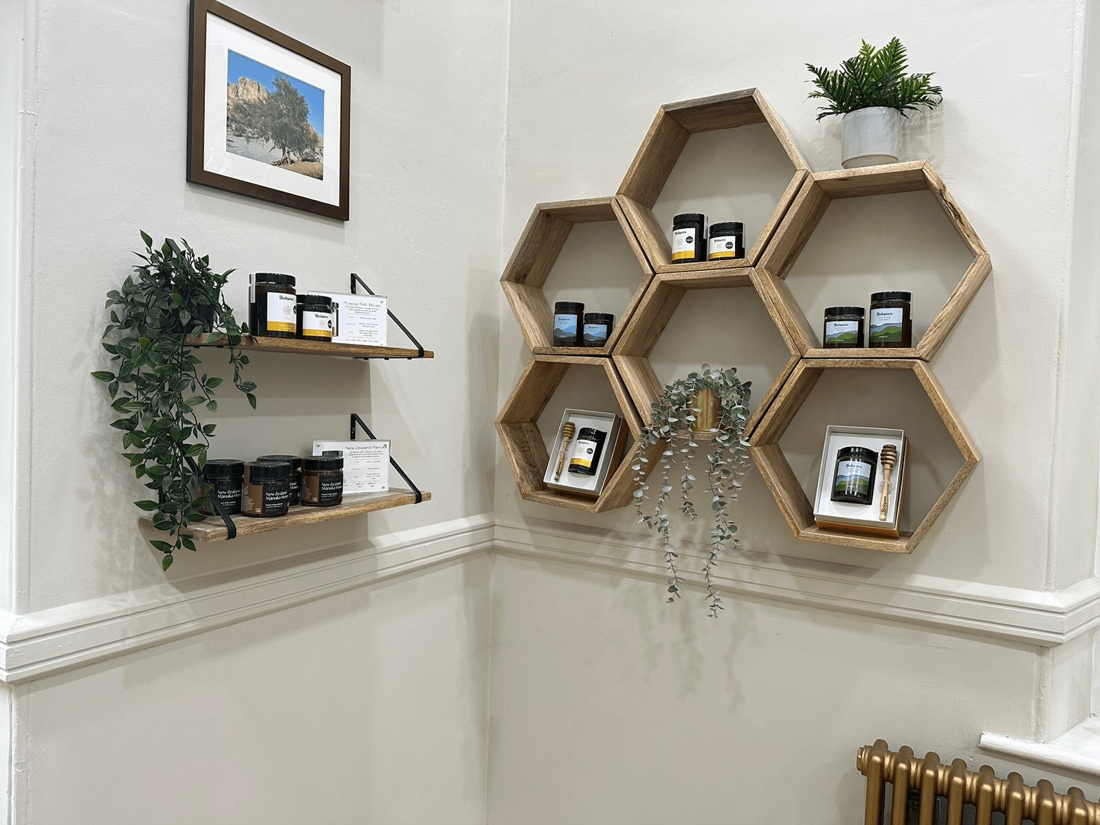 The interior of the Balqees shop, with lots of displays of honey.