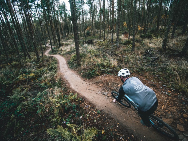 A man riding a mountain bike along a track in a wooded area.
