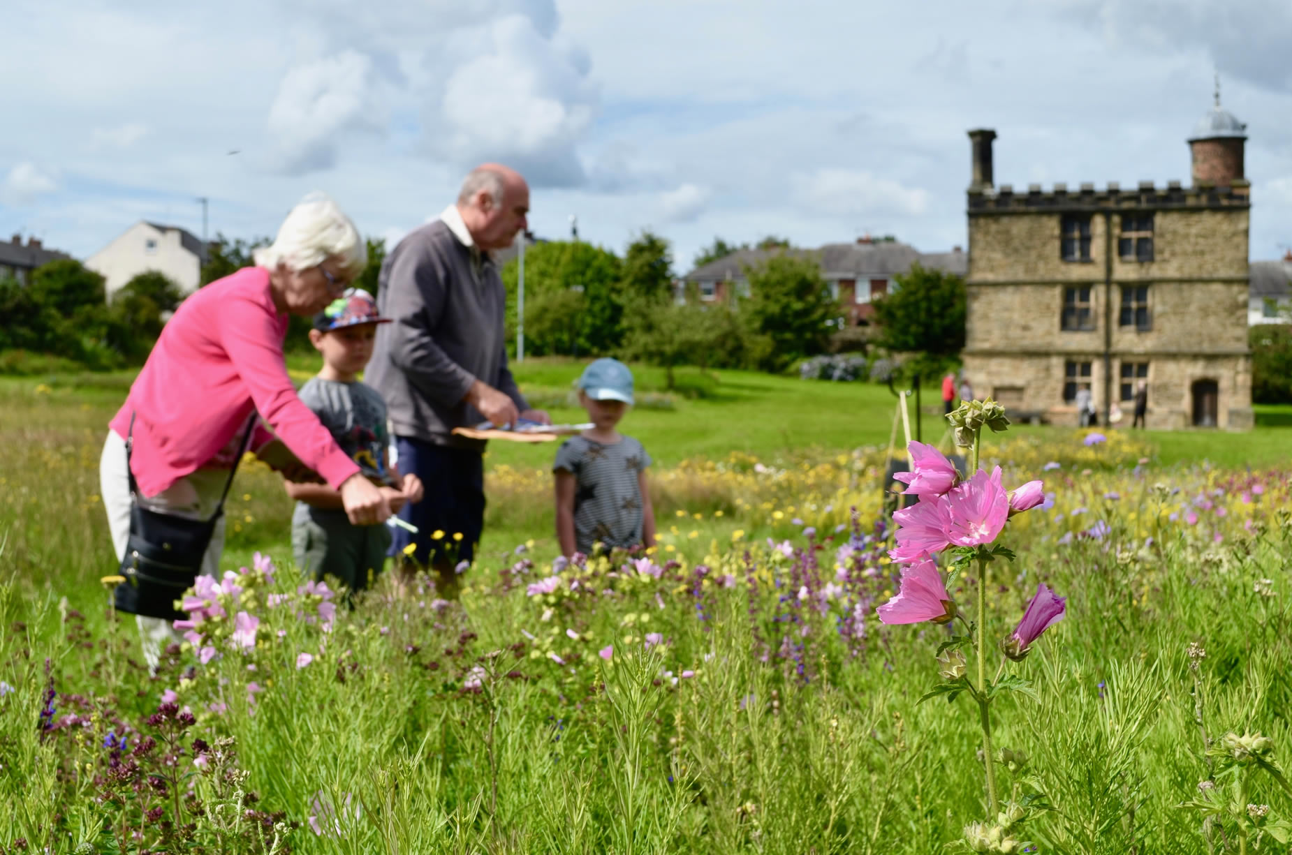A family looking for insects in the wild flower meadow at Sheffield Manor Lodge.
