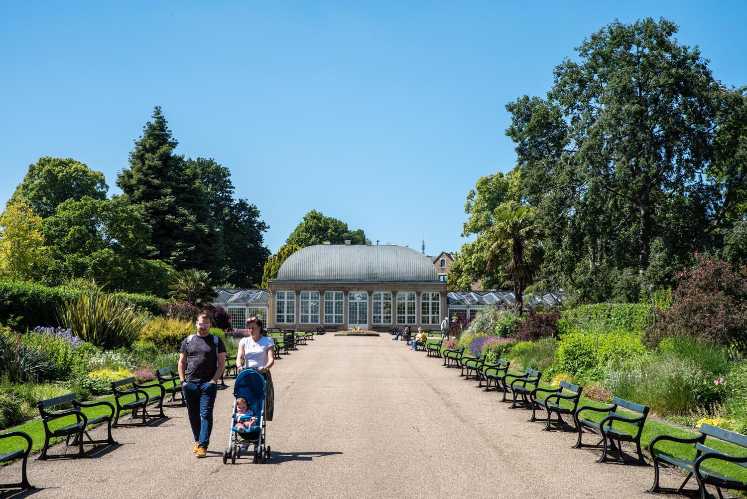 A couple, with a pushchair, walking in the Sheffield Botanical Gardens.