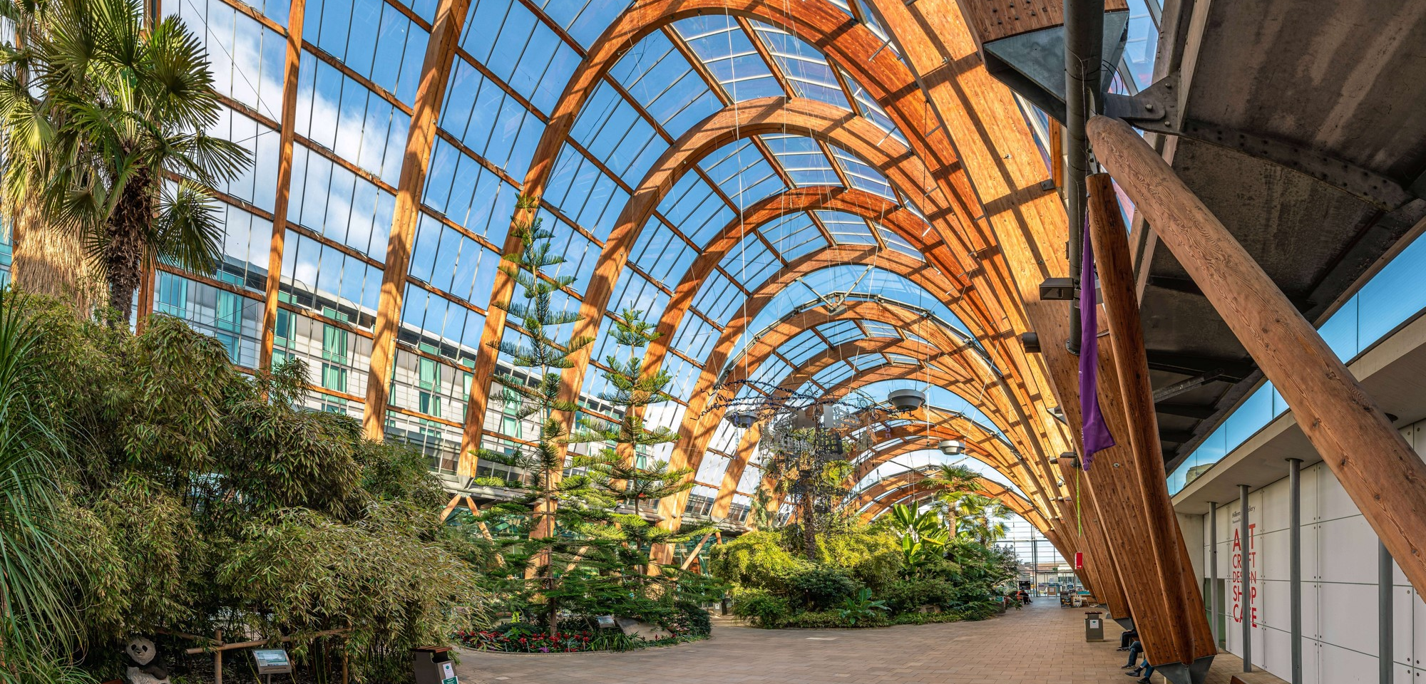 Sheffield Winter Gardens