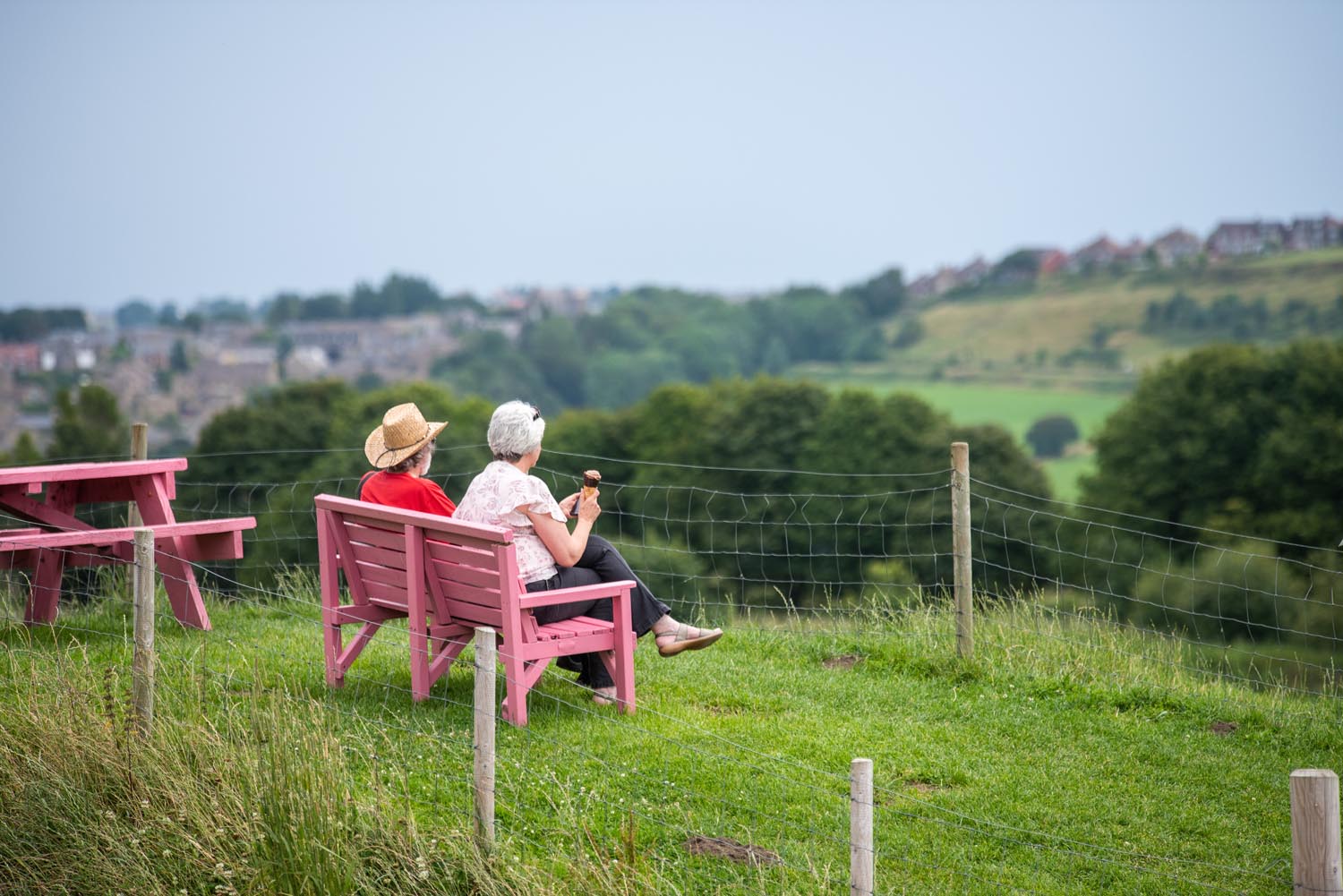 A couple sat on a pink bench on top of a hill.