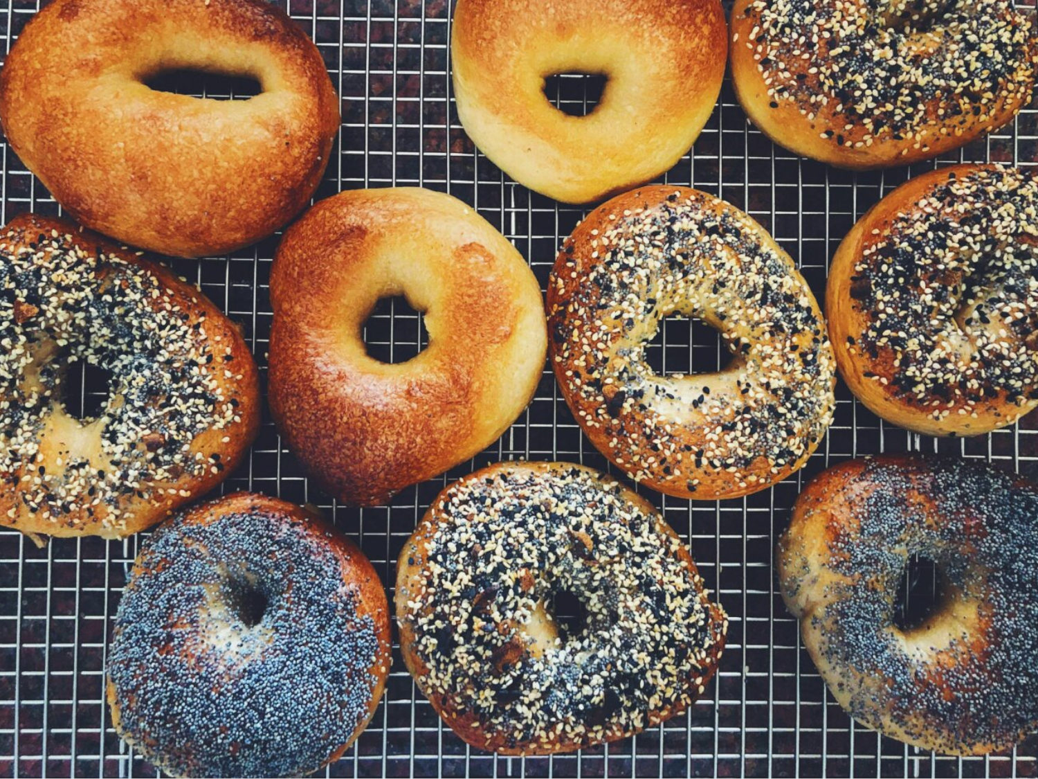Top-down shot of a mixed batch of bagels on a cooling rack.