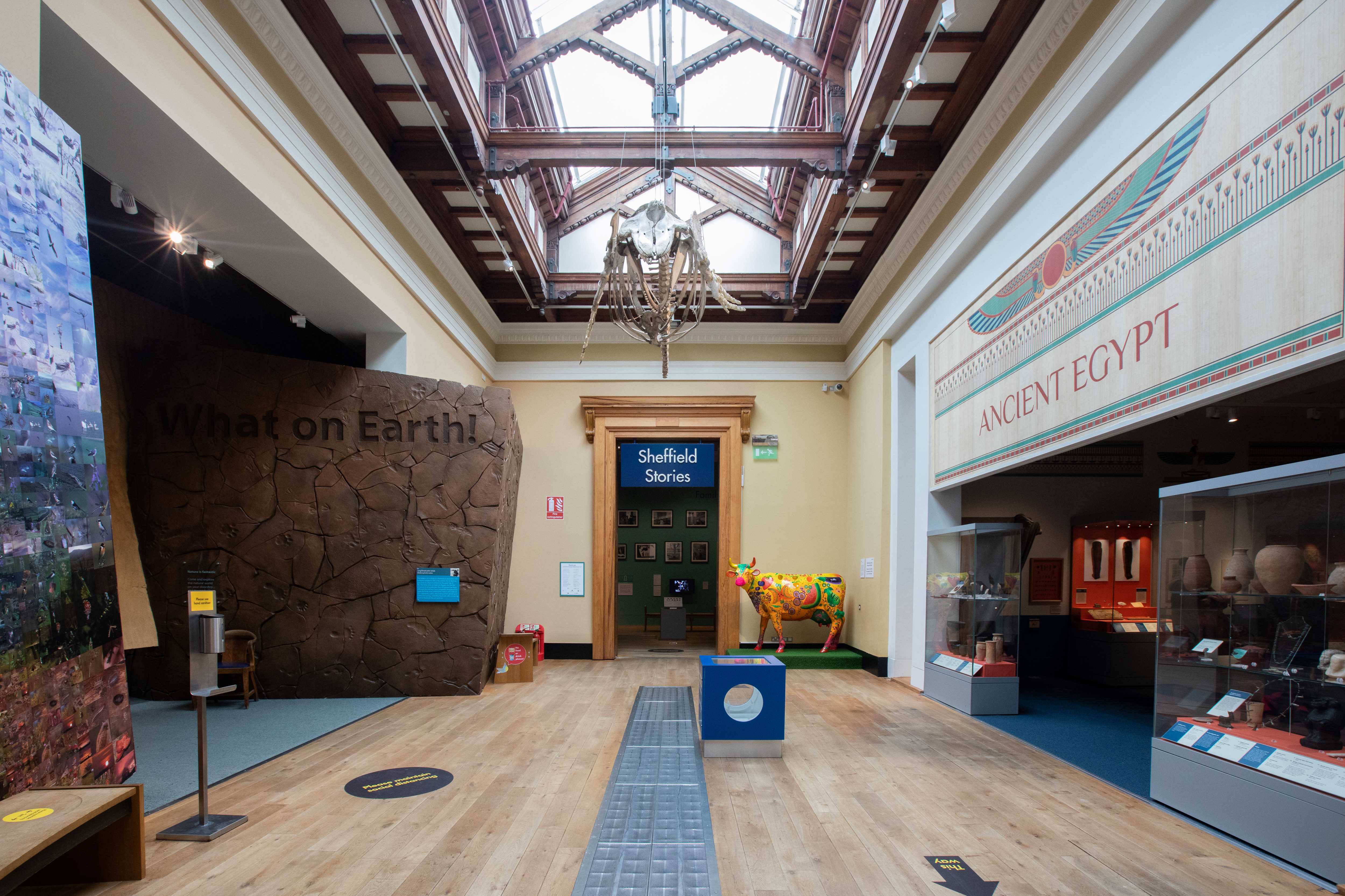 Inside one of the galleries at the Weston Park Museum.