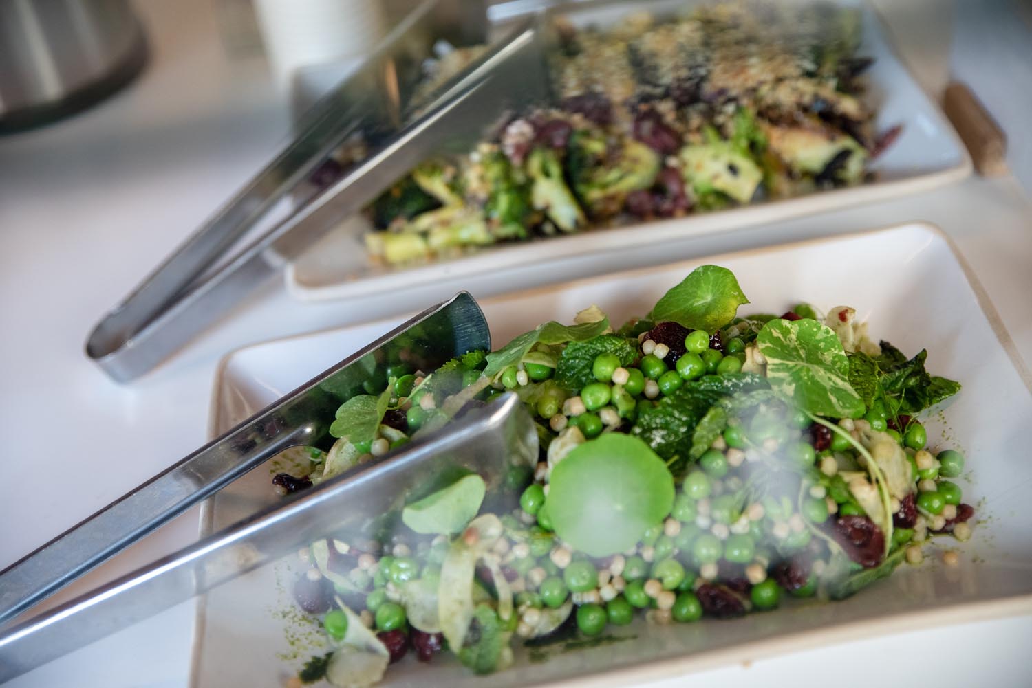 Marmadukes - Norfolk Row