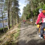 People cycling along a track in a wooded area.
