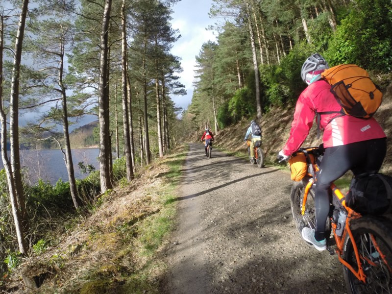 People cycling along a track in a wooded area.