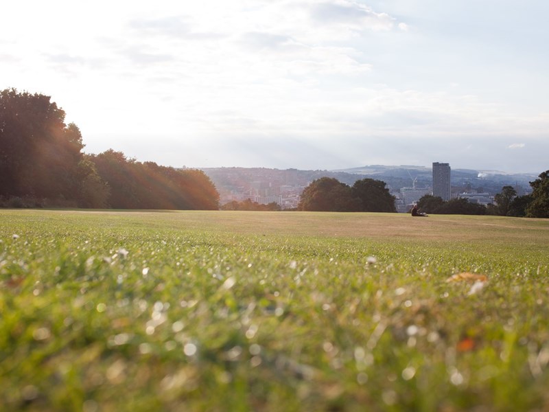 A view across a grassy field in Norfolk Heritage park, which is edged with lots of trees. In the distance you can see Sheffield city centre.