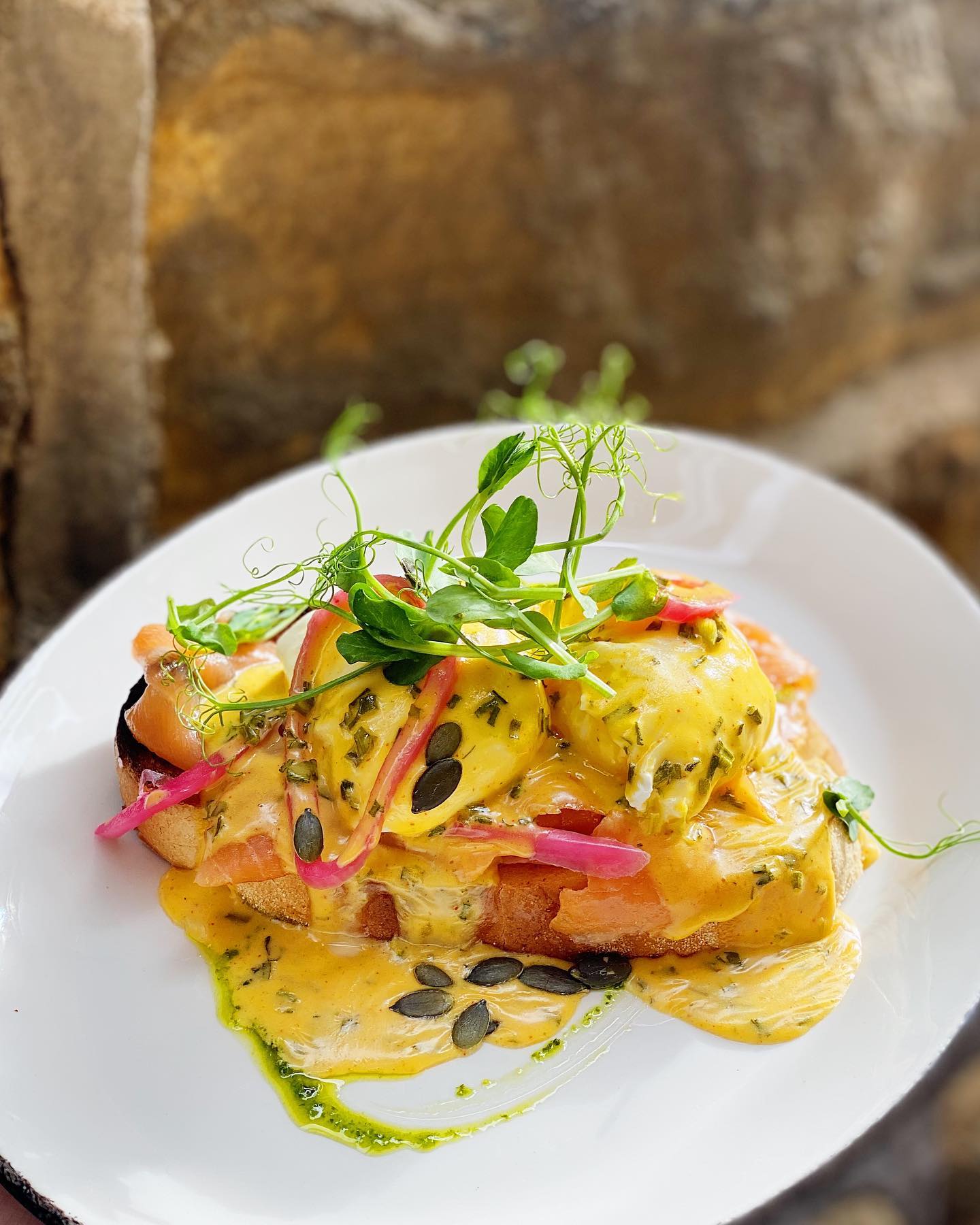 Food at Joni Oughtibridge.