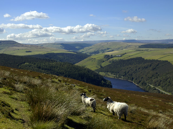 A view across the Peak District National Park.