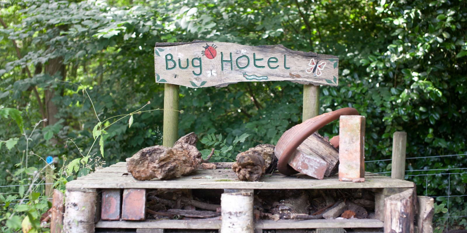A bug hotel that has been set up in Ecclesall Woods.